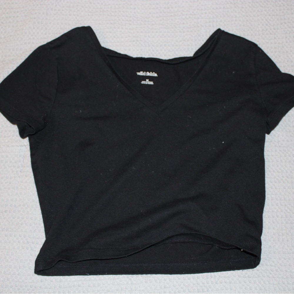 Wild Fable Black V-Neck Crop Top